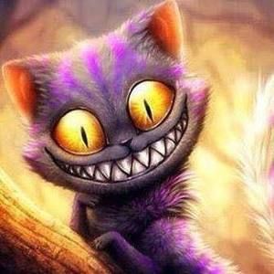 Meet your Posher, Kari